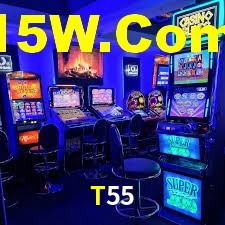 Programa VIP T55